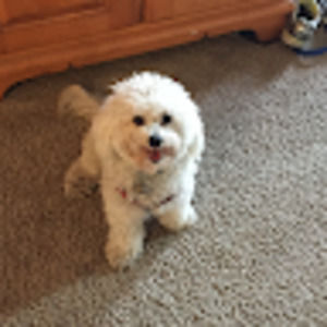 Meet your Posher, Lorena